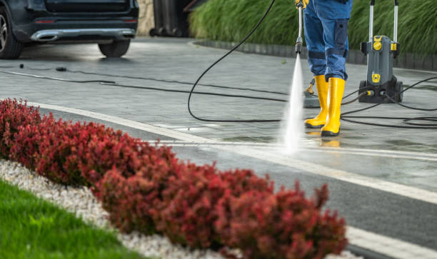 Best Driveway Pressure Washing  in Walnutport, PA